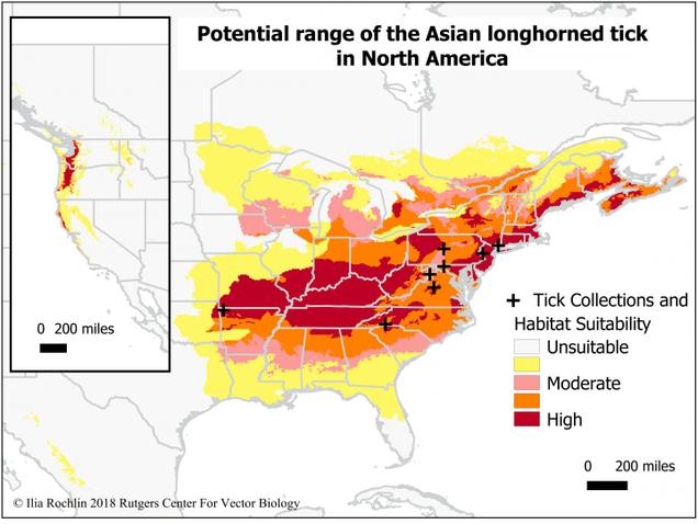 Rochlin’s model of where the longhorned tick could soon call home.